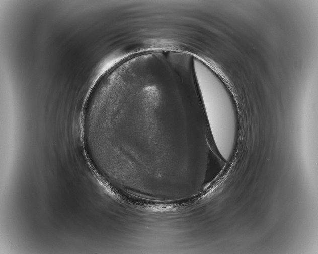 X0000085070846200703191300