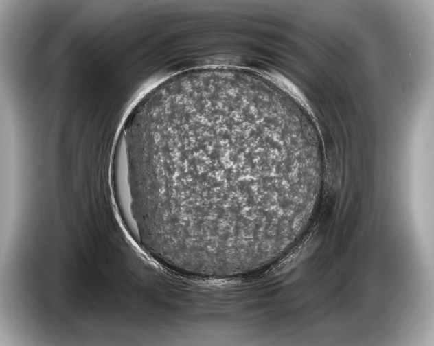 X0000085070847200703191300