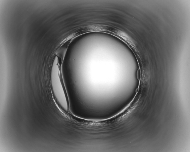 X0000085070849200703191300