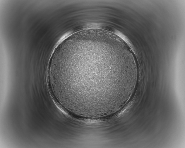 X0000085070850200703191300