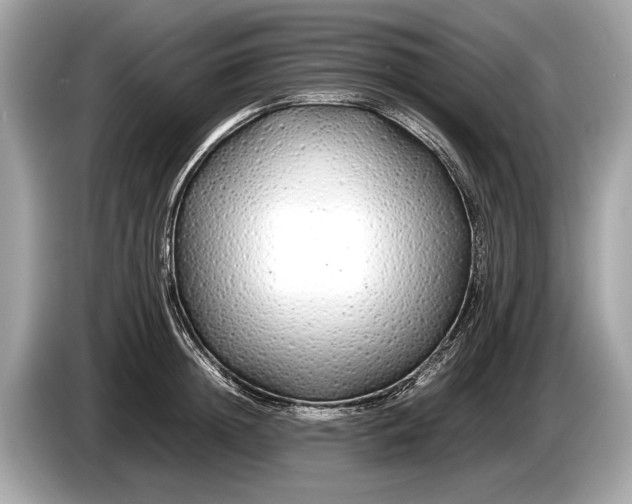 X0000085070852200703191300