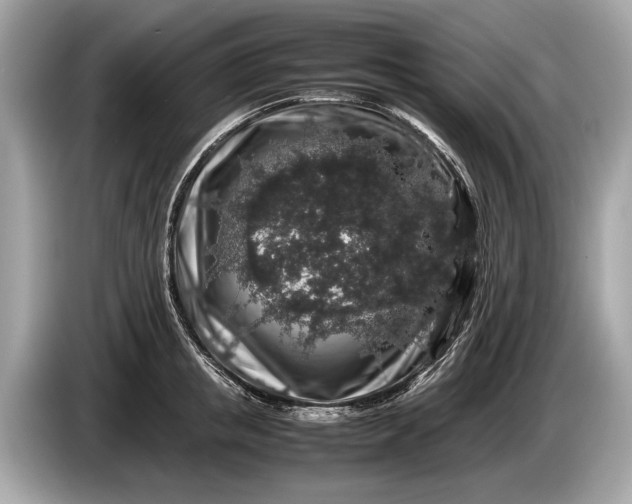 X0000085070853200703191300