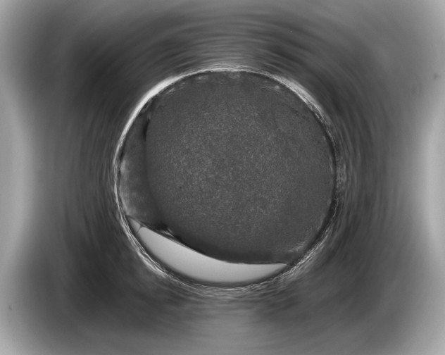 X0000085070854200703191300