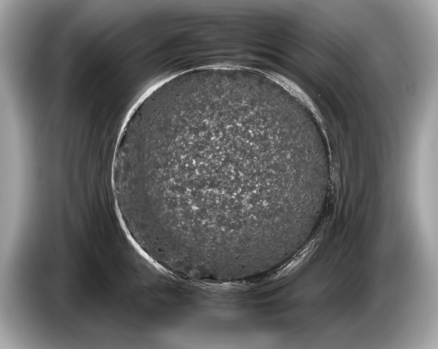 X0000085070855200703191300