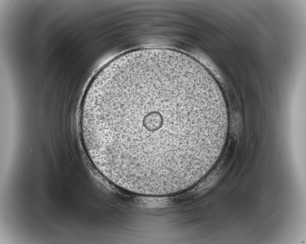 X0000085070856200703191300