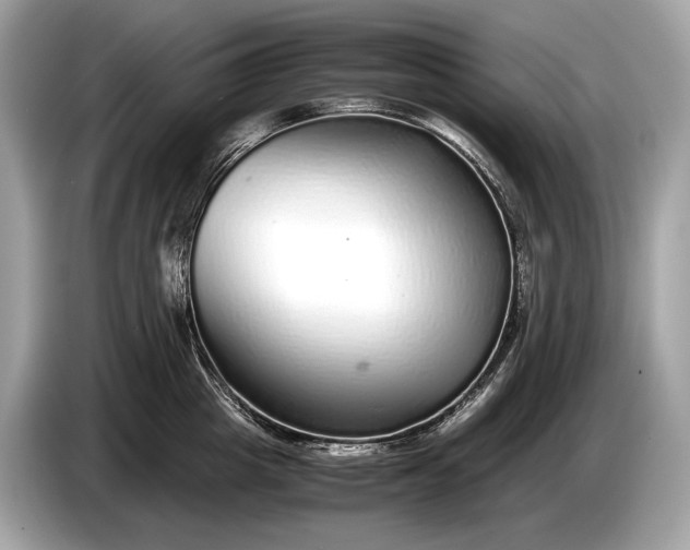 X0000085070857200703191300