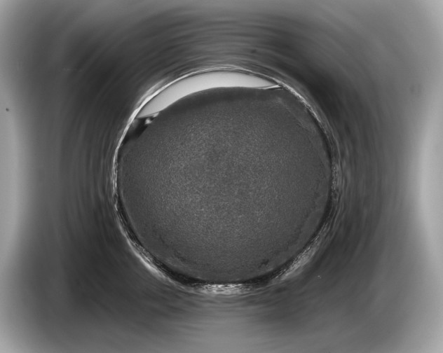 X0000085070858200703191300