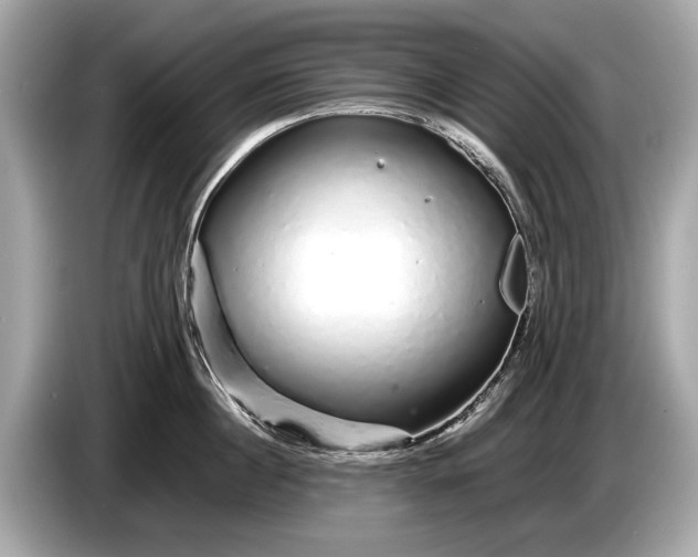 X0000085070860200703191300