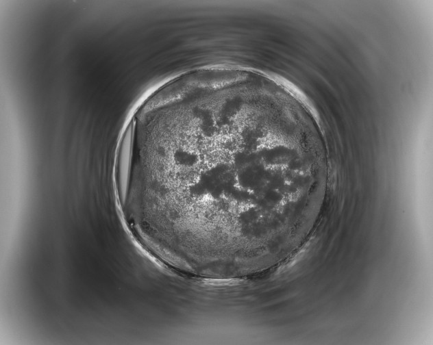 X0000085070863200703191300