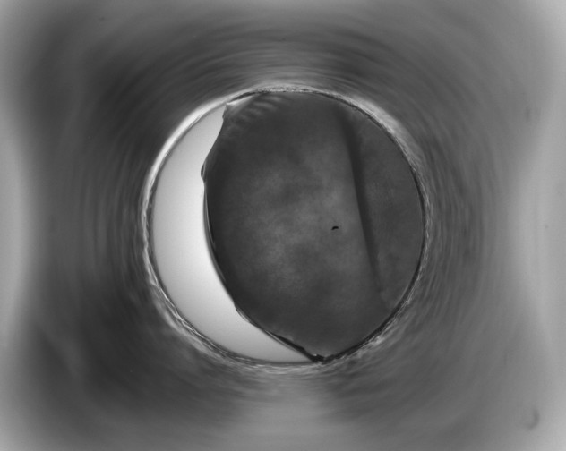 X0000085070864200703191300