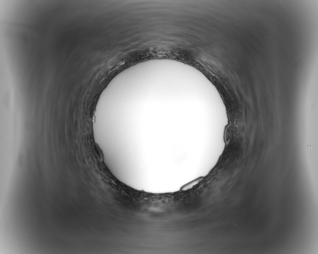 X0000085070865200703191259