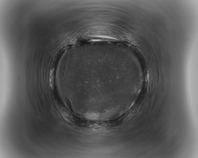 X0000085070868200703191259