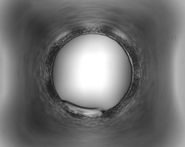 X0000085070869200703191259