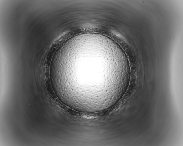 X0000085070870200703191259