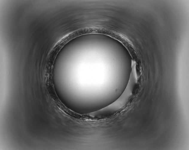 X0000085070872200703191259