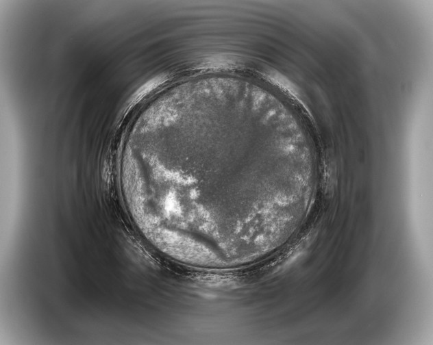 X0000085070874200703191259