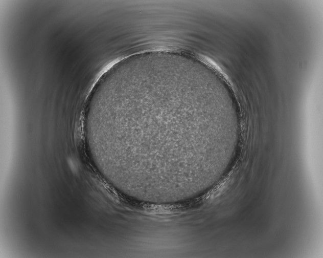 X0000085070875200703191259