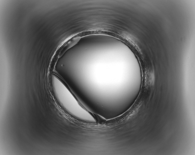 X0000085070876200703191259