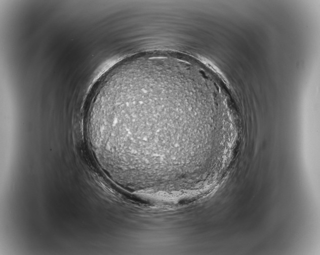 X0000085070877200703191259