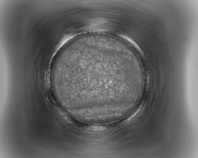 X0000085070878200703191259