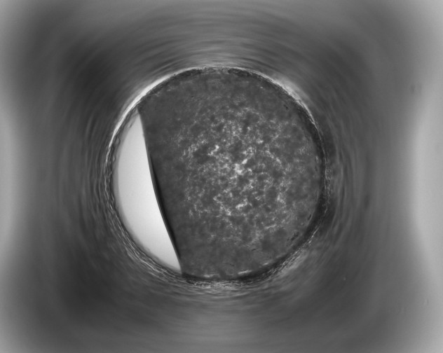 X0000085070879200703191259