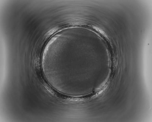 X0000085070881200703191259