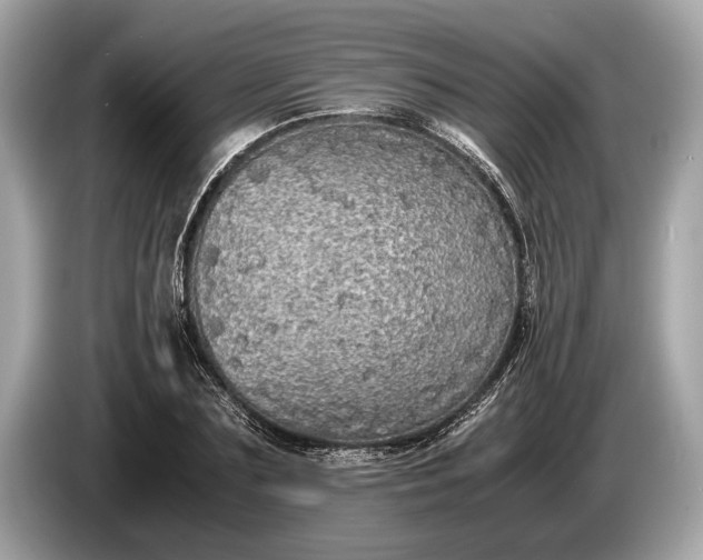 X0000085070883200703191259