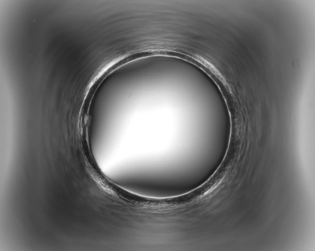 X0000085070885200703191259