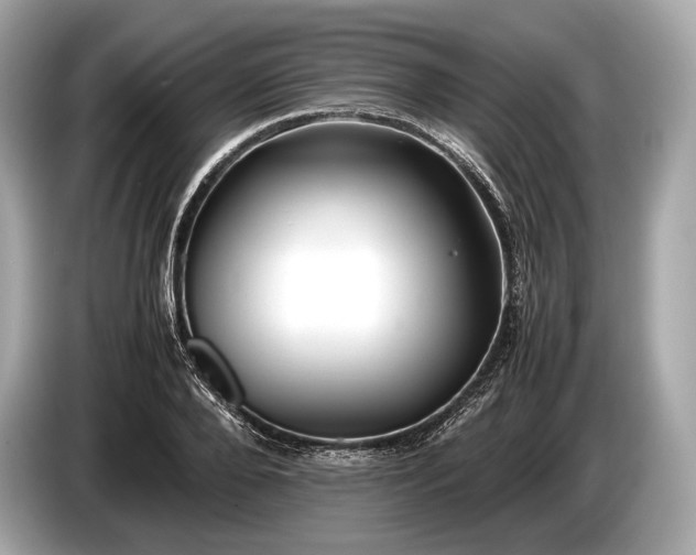 X0000085070888200703191259