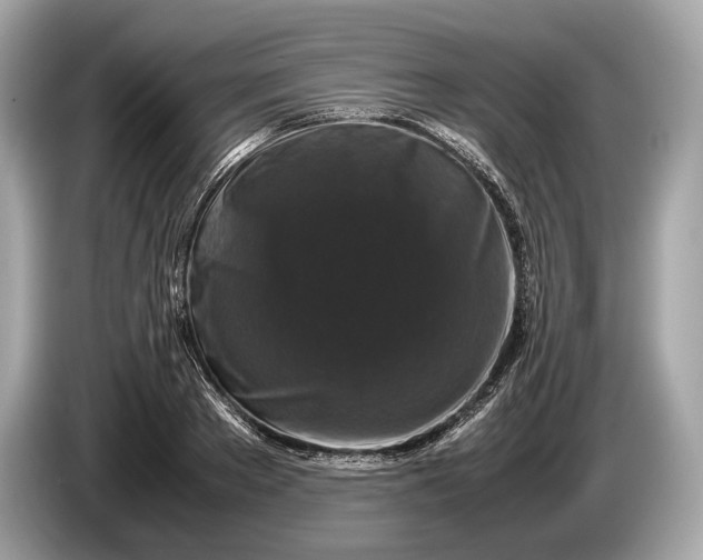 X0000085070889200703191259