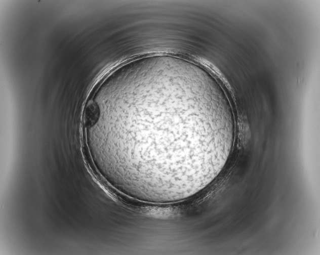 X0000085070890200703191259