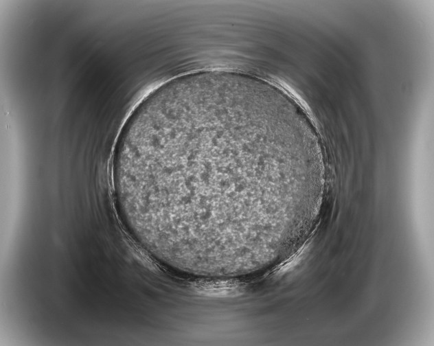 X0000085070891200703191259