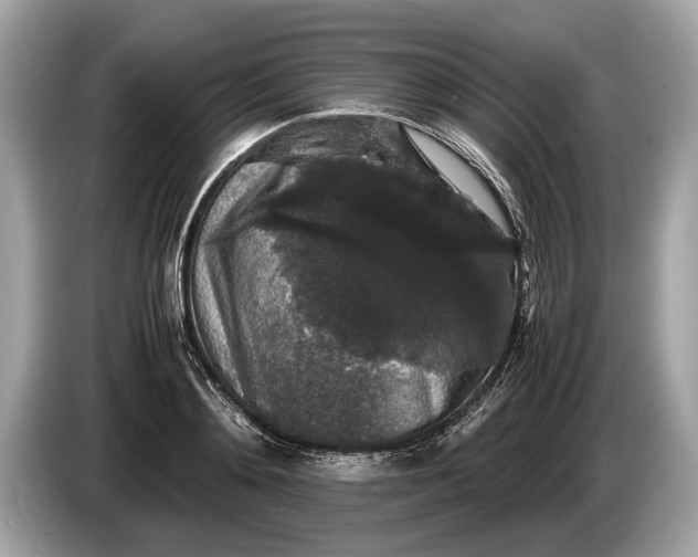 X0000085070892200703191259