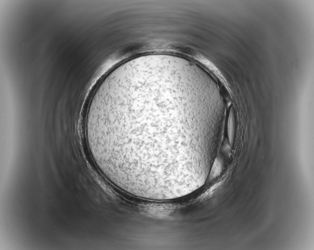 X0000085070893200703191259