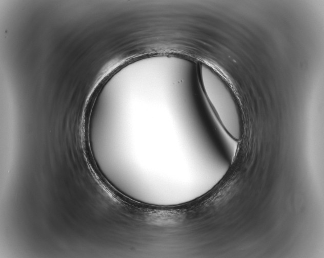 X0000085070894200703191259