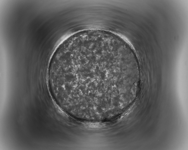 X0000085070895200703191259