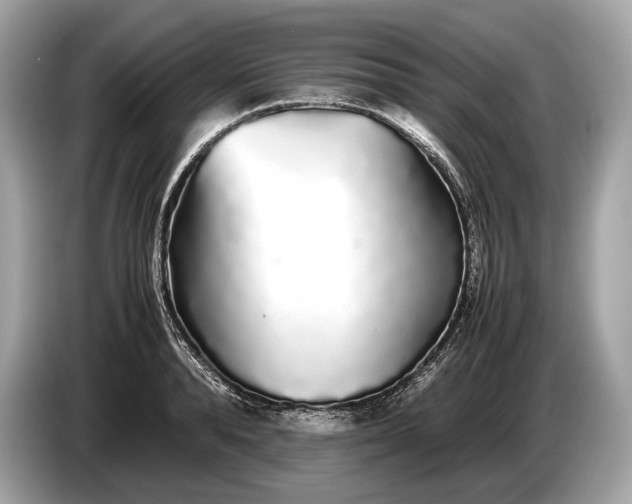 X0000085070896200703191259