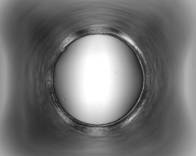 X0000085070897200703191259