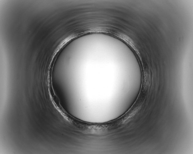 X0000085070898200703191259