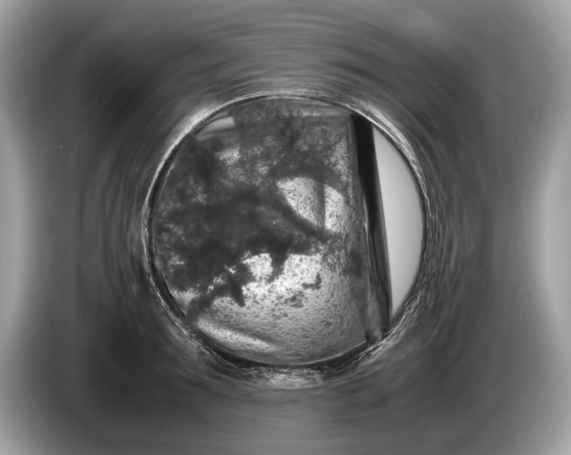 X0000085070899200703191259