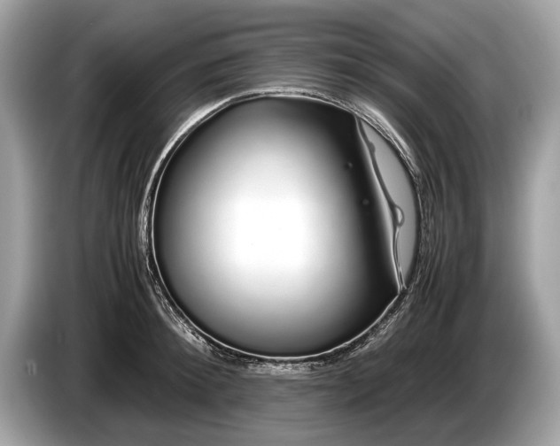 X0000085070900200703191259