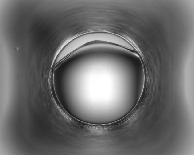 X0000085070901200703191259