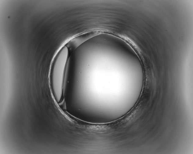 X0000085070902200703191259