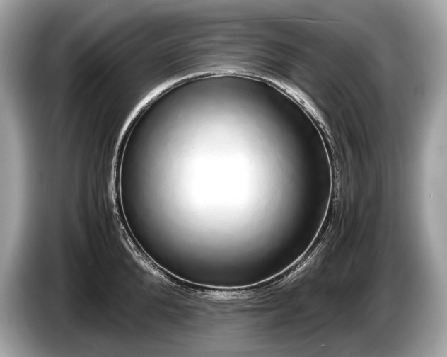 X0000085070904200703191259