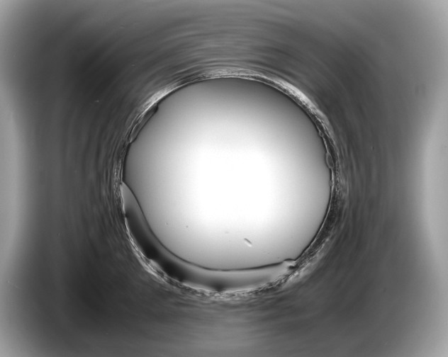 X0000085070905200703191259