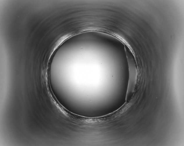 X0000085070906200703191259