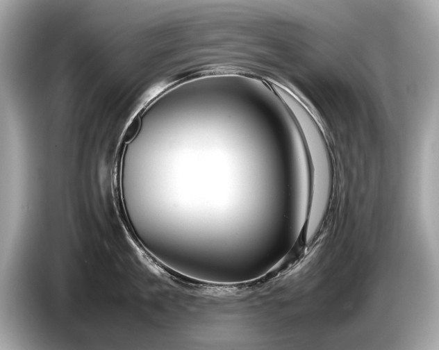 X0000085070909200703191259