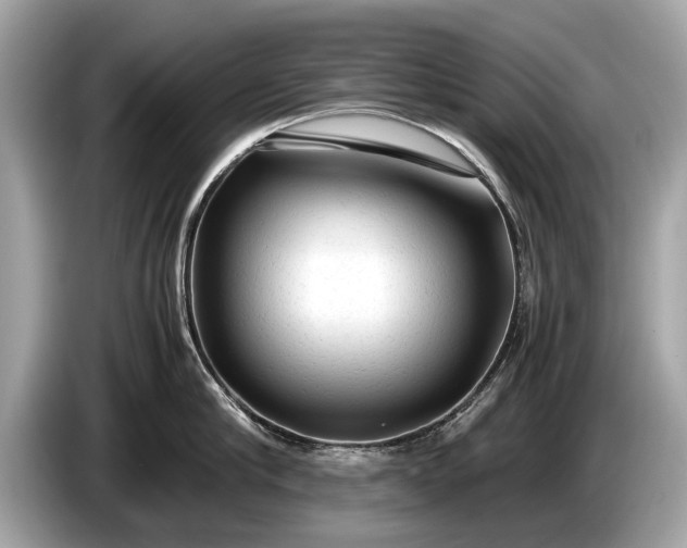 X0000085070910200703191259