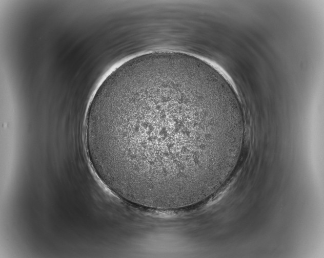 X0000085070911200703191259