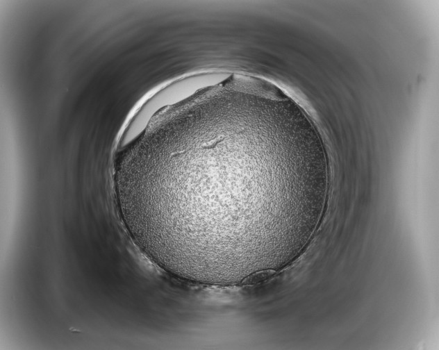 X0000085070912200703191259